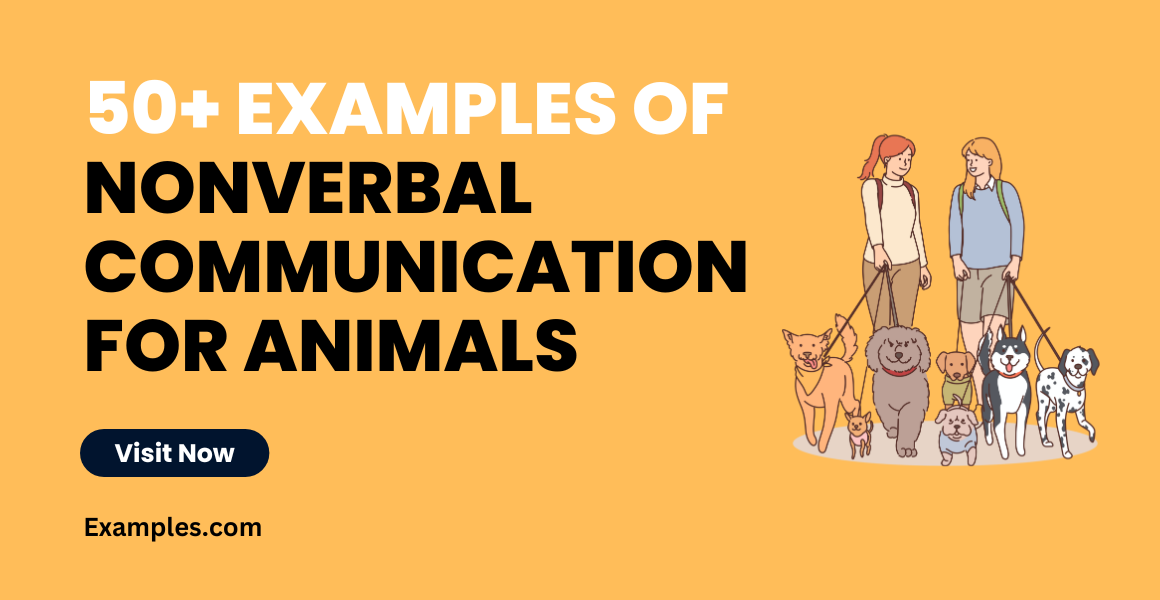 Nonverbal Communication Examples for Animals