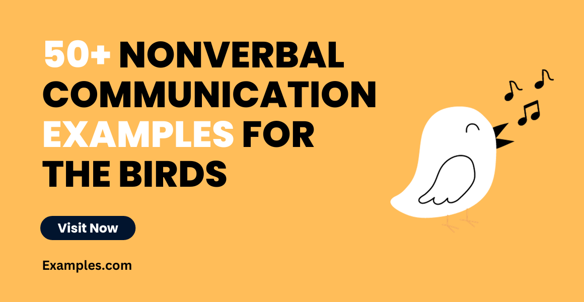 Nonverbal Communication Examples for Birds
