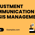 Adjustment Communication in Crisis Management