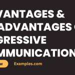 Advantages & Disadvantages of Aggressive Communication