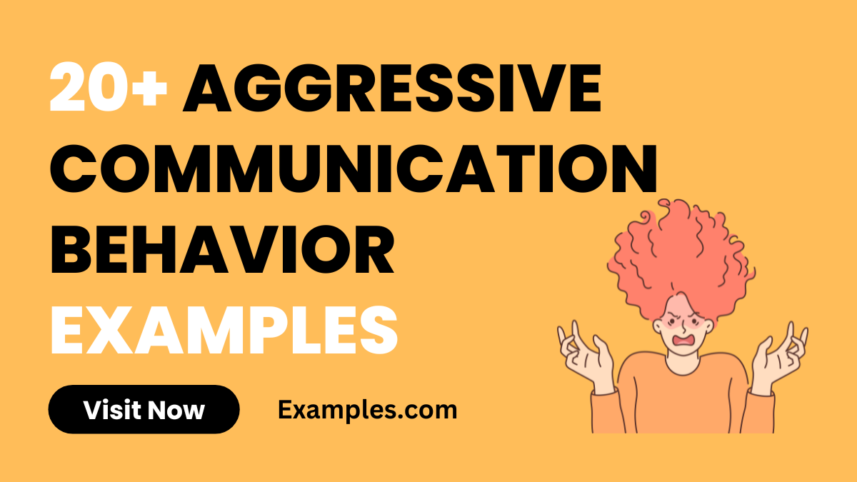 Aggressive Communication Behaviour 2