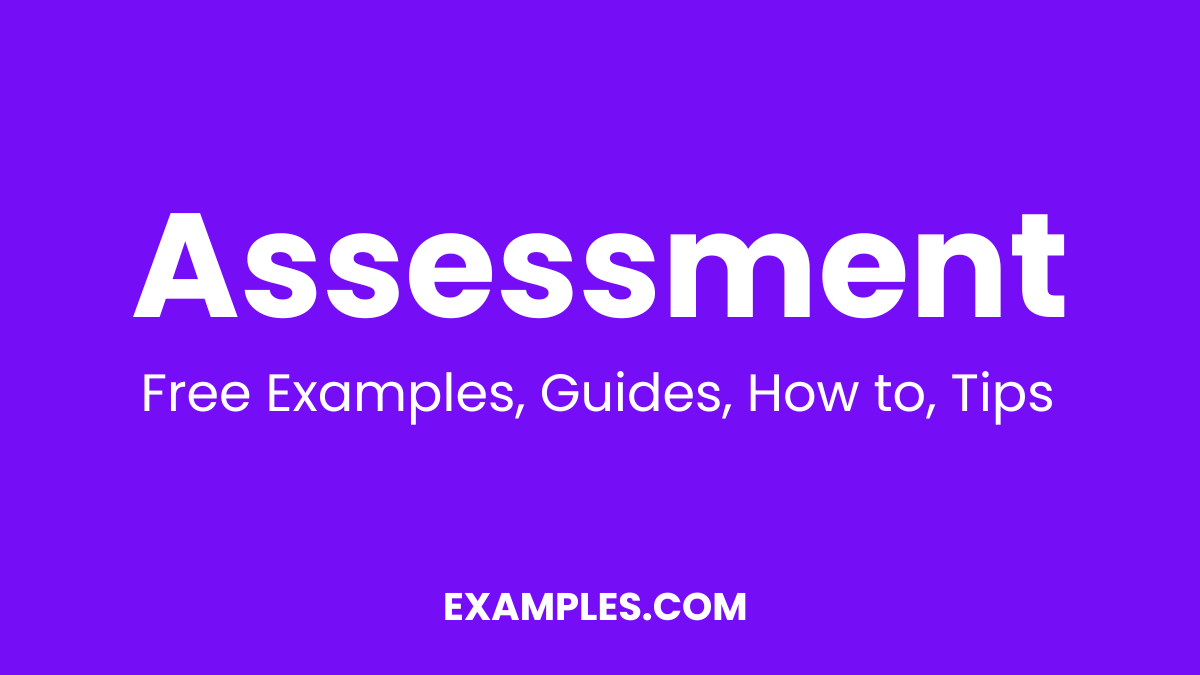 Assessment Examples