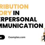 Attribution Theory in Interpersonal Communication