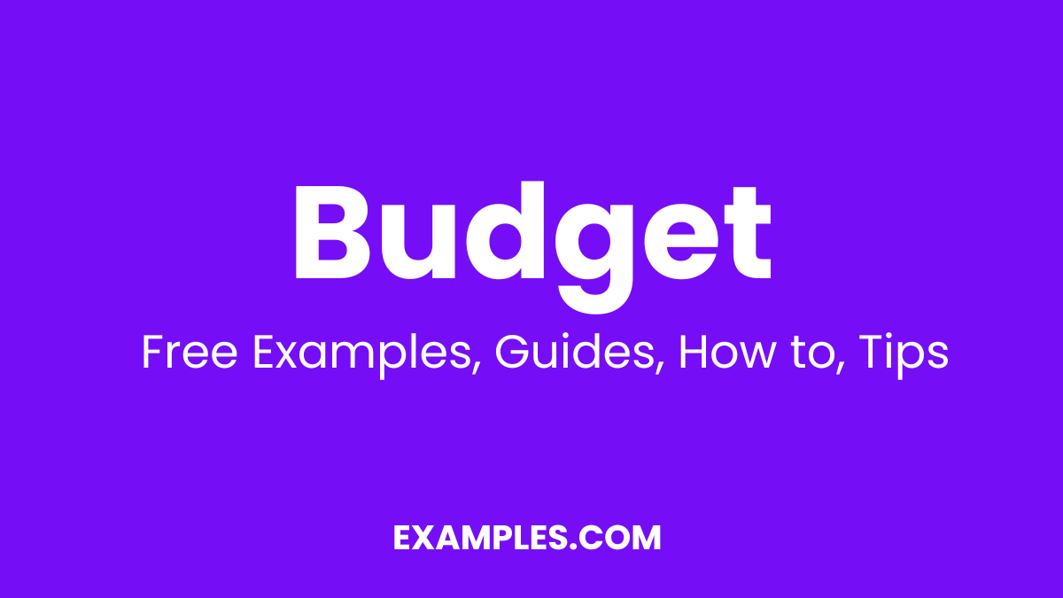 Budget Examples