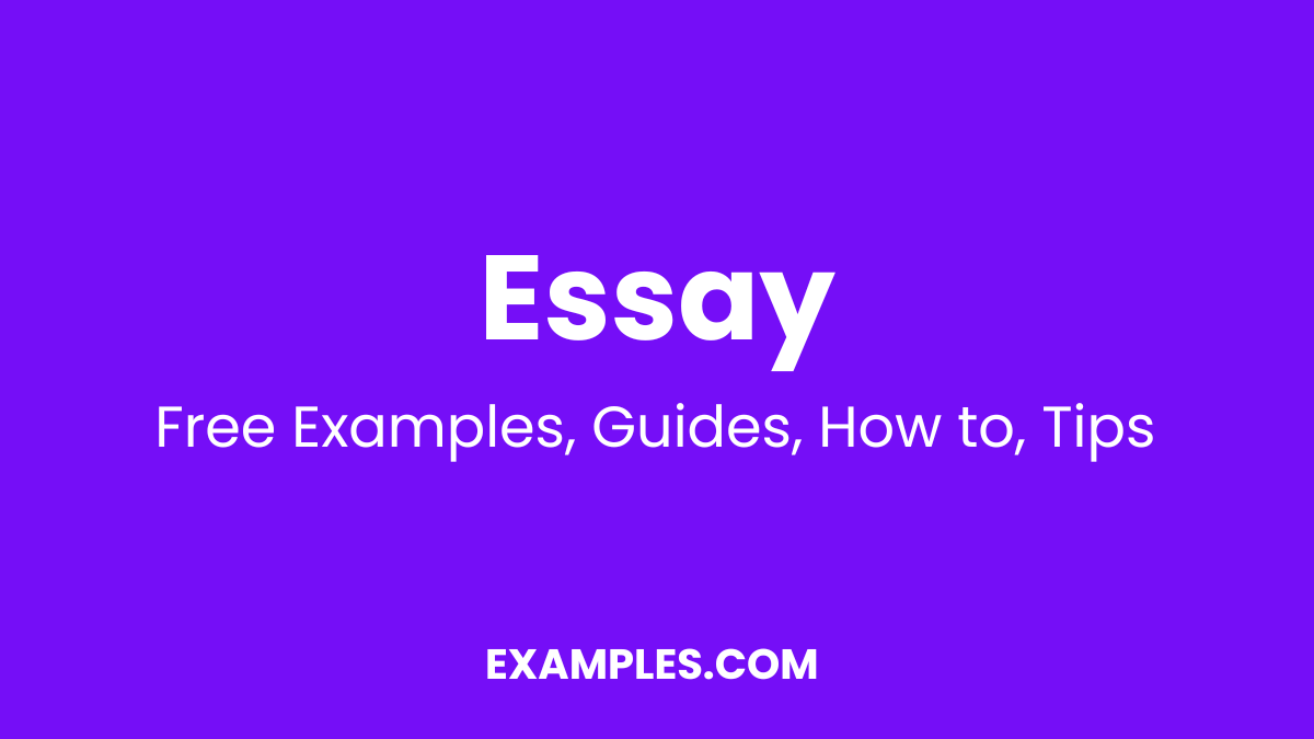 Essay Examples