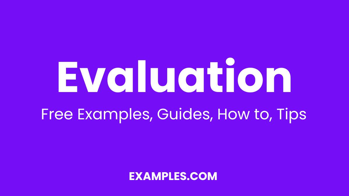 Evaluation Examples