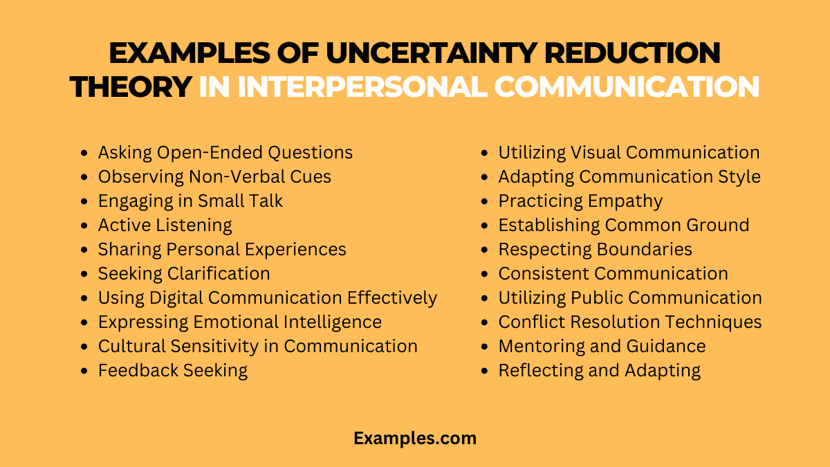 examples of uncertainty reduction theory in interpersonal communication