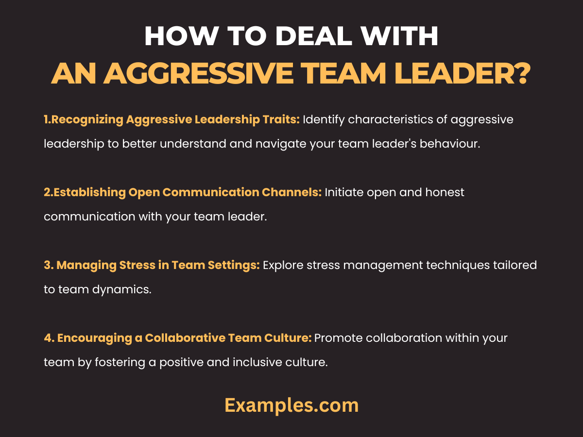 how to deal with an aggressive team leader