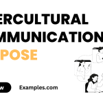 Intercultural Communication Purpose