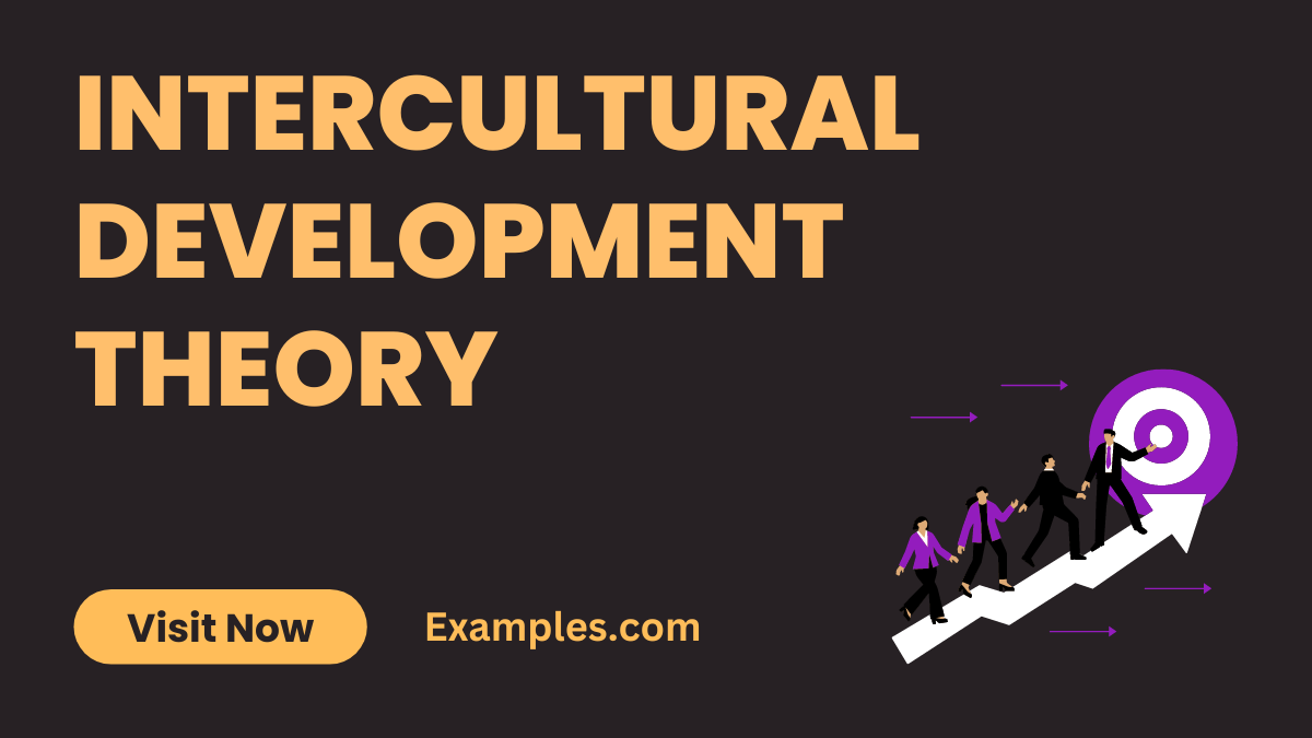 Intercultural Development Theory