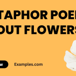 Metaphor Poems About Flowers