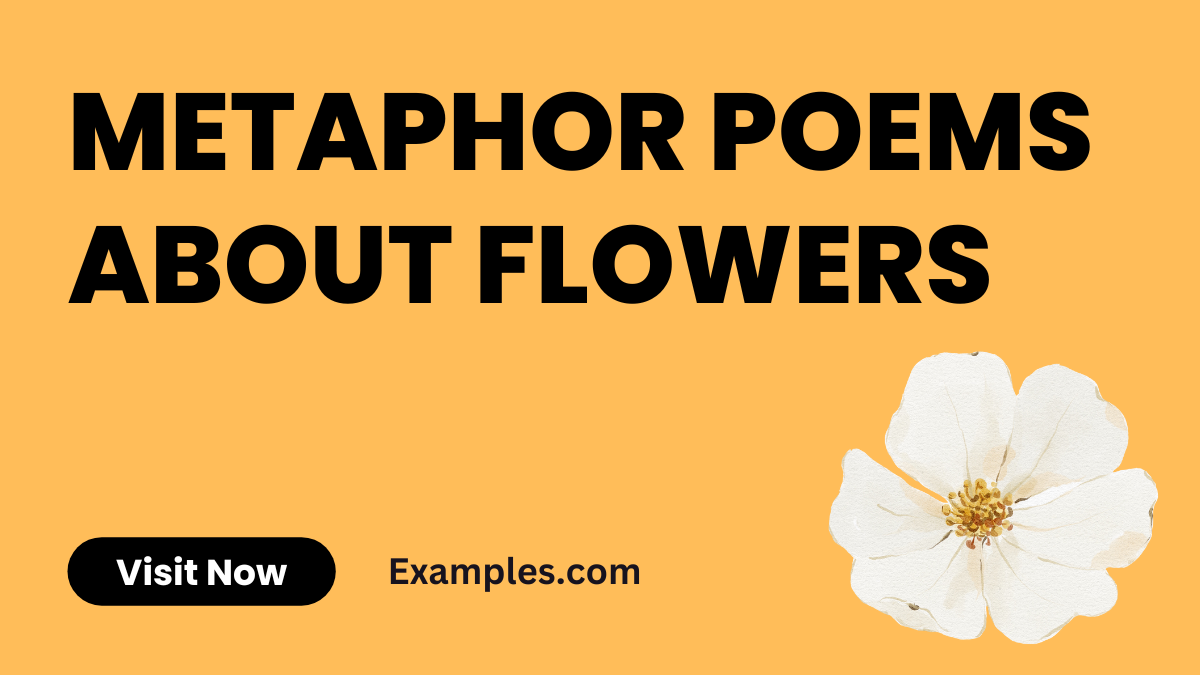 Metaphor Poems About Flowers