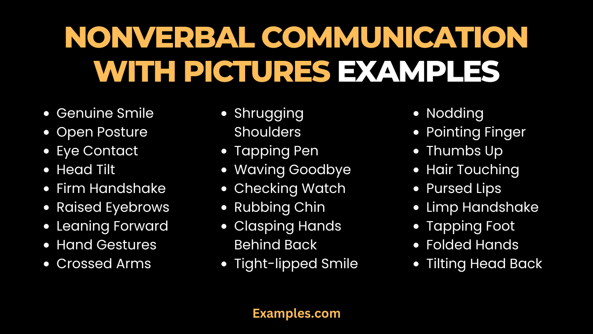 nonverbal communication with pictures examples
