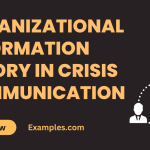 Organizational Information Theory in Crisis Communication