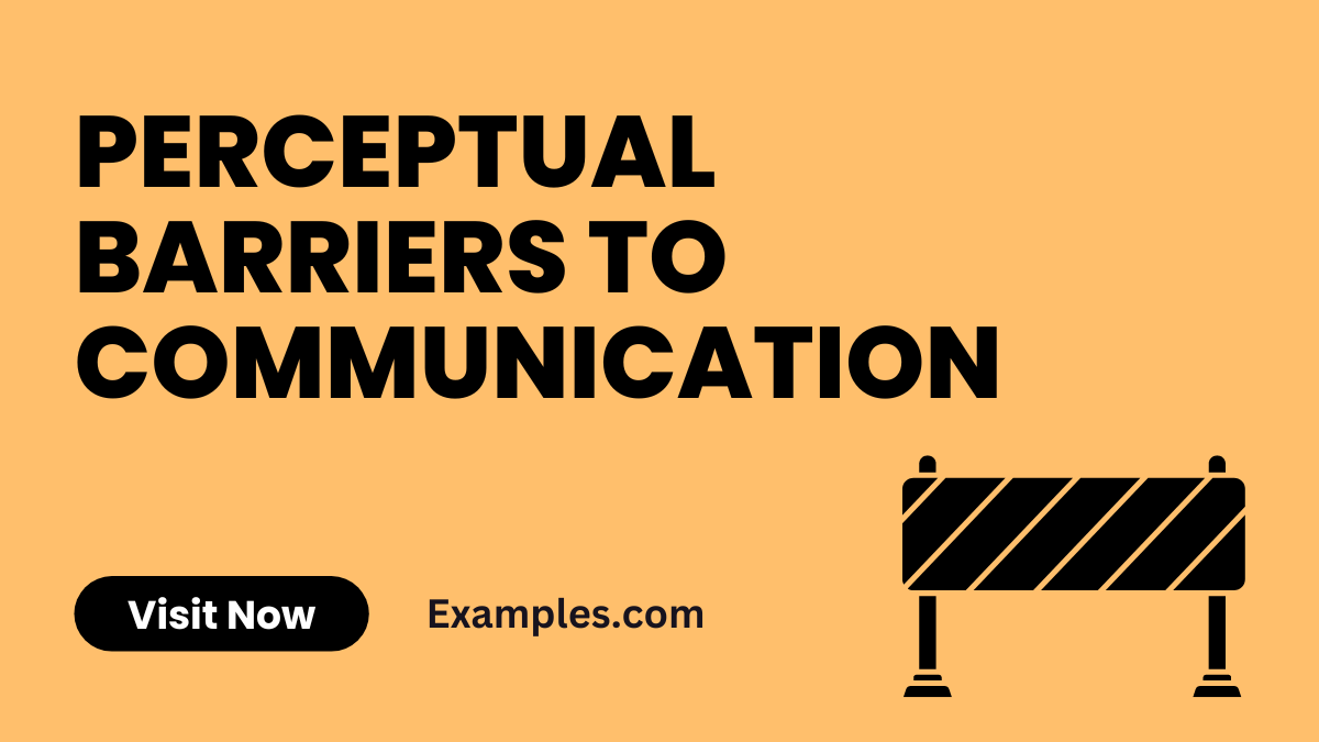 Perceptual Barriers to Communication