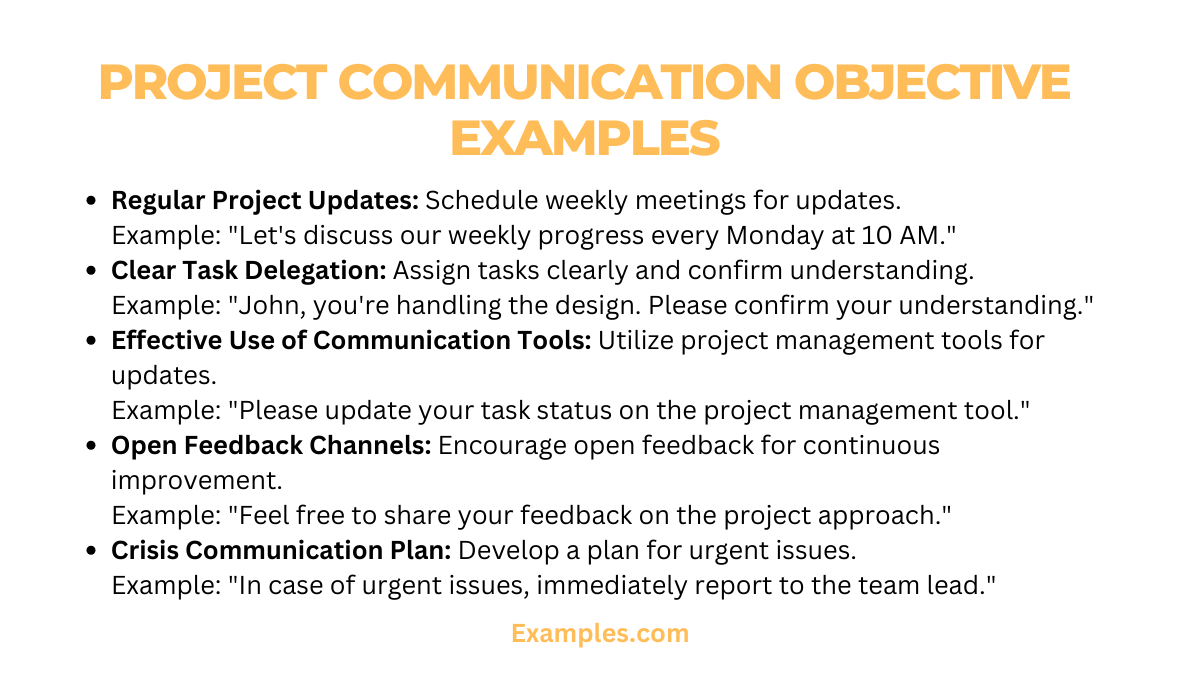 project communication objective examples