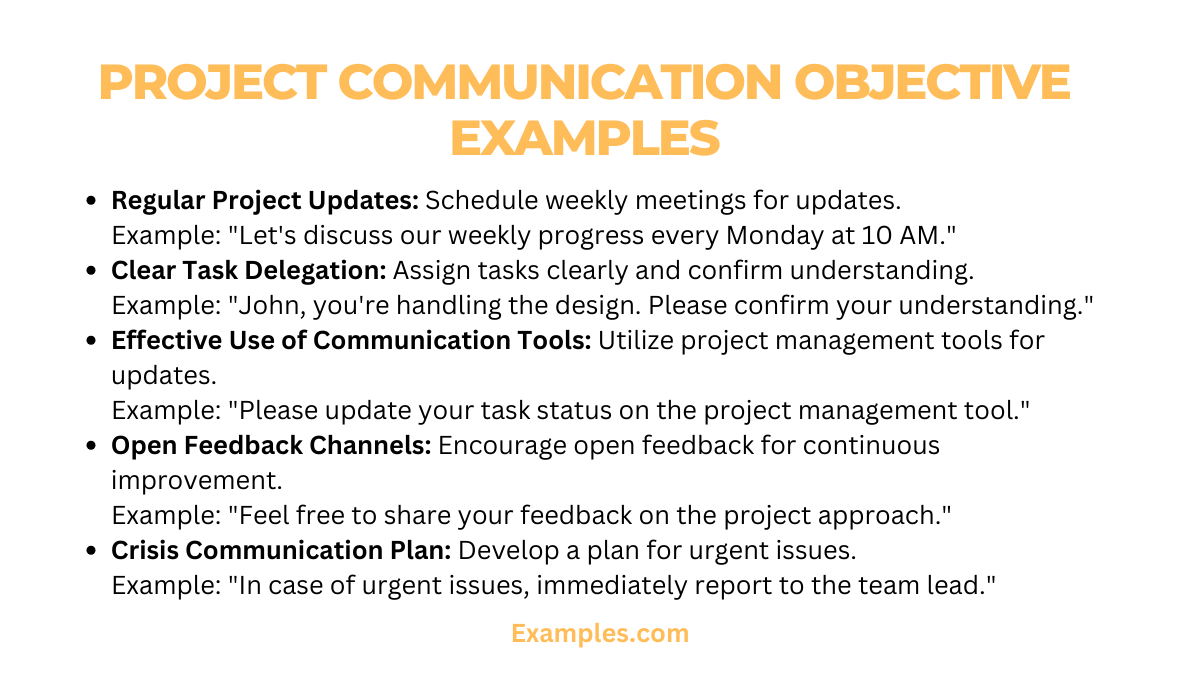 Project Communication Objectives - 19+ Examples, How to Create