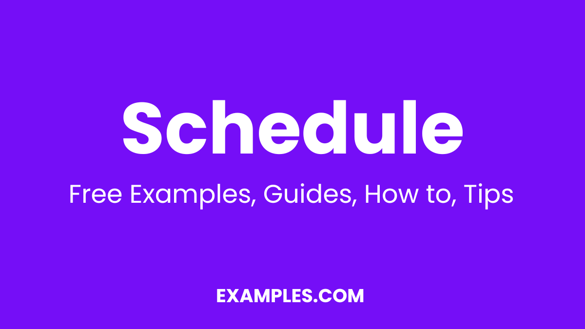 Schedule Examples