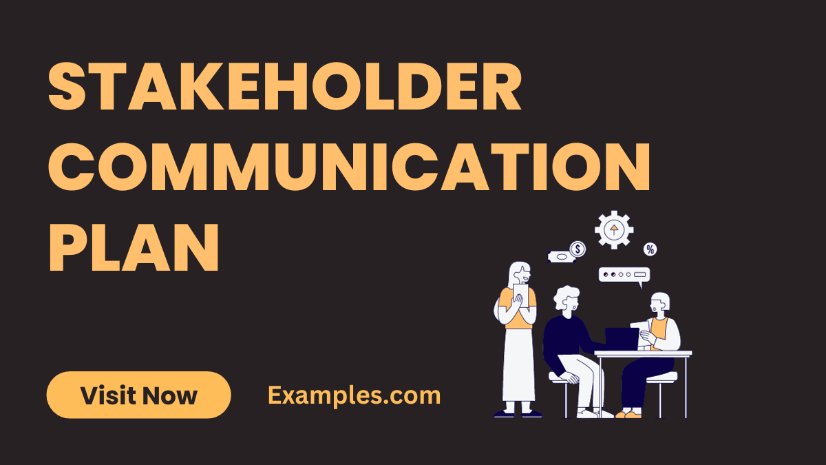 Stakeholder Communication Plan