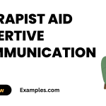Therapist Aid Assertive Communication