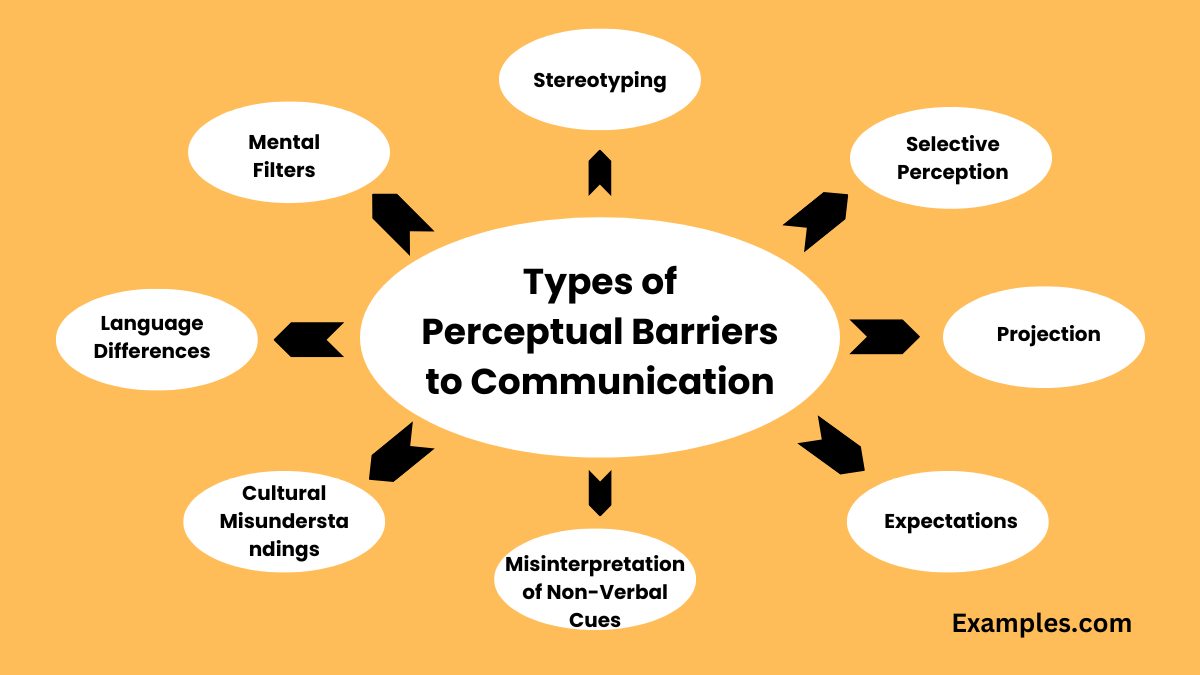 Types of Perceptual Barriers to Communication