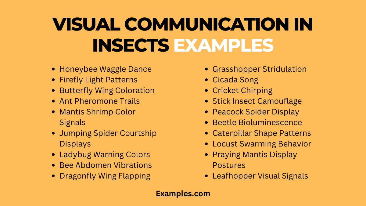 visual communication in insects examples