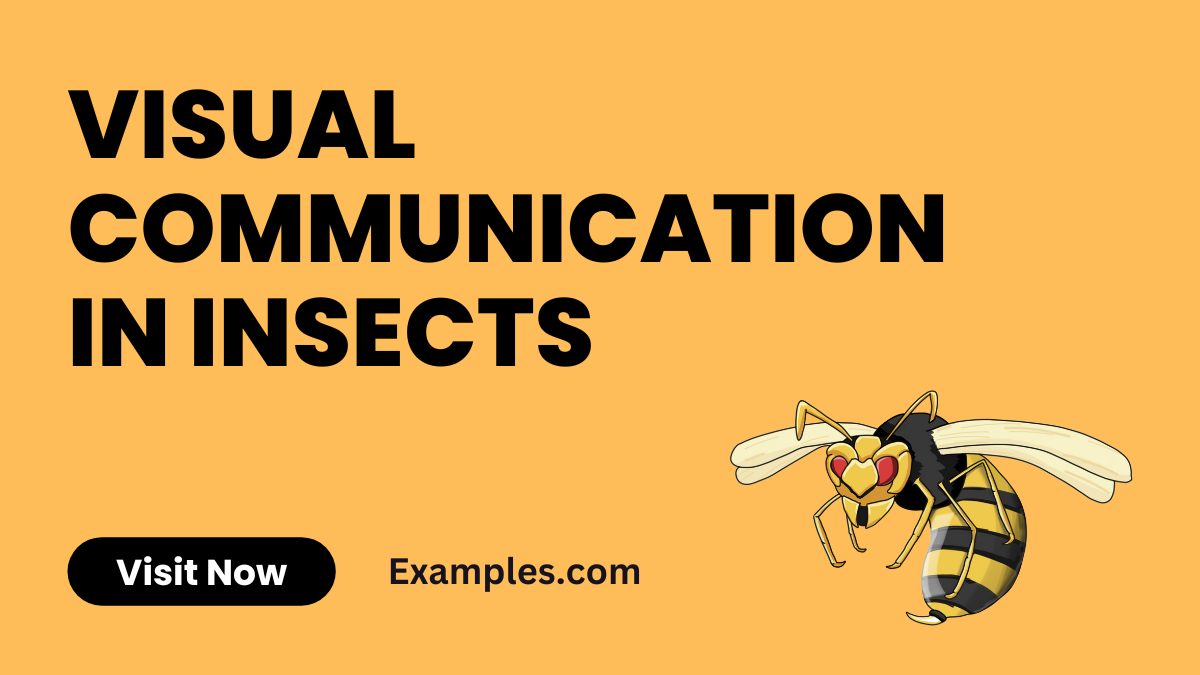 Visual Communication in Insectss