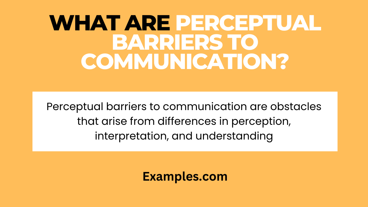 what are perceptual barriers to communication