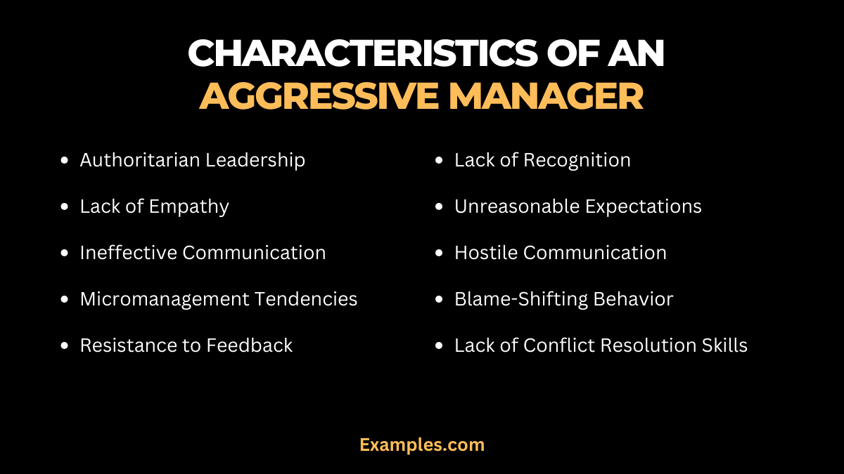 what are the characteristics of an aggressive manager