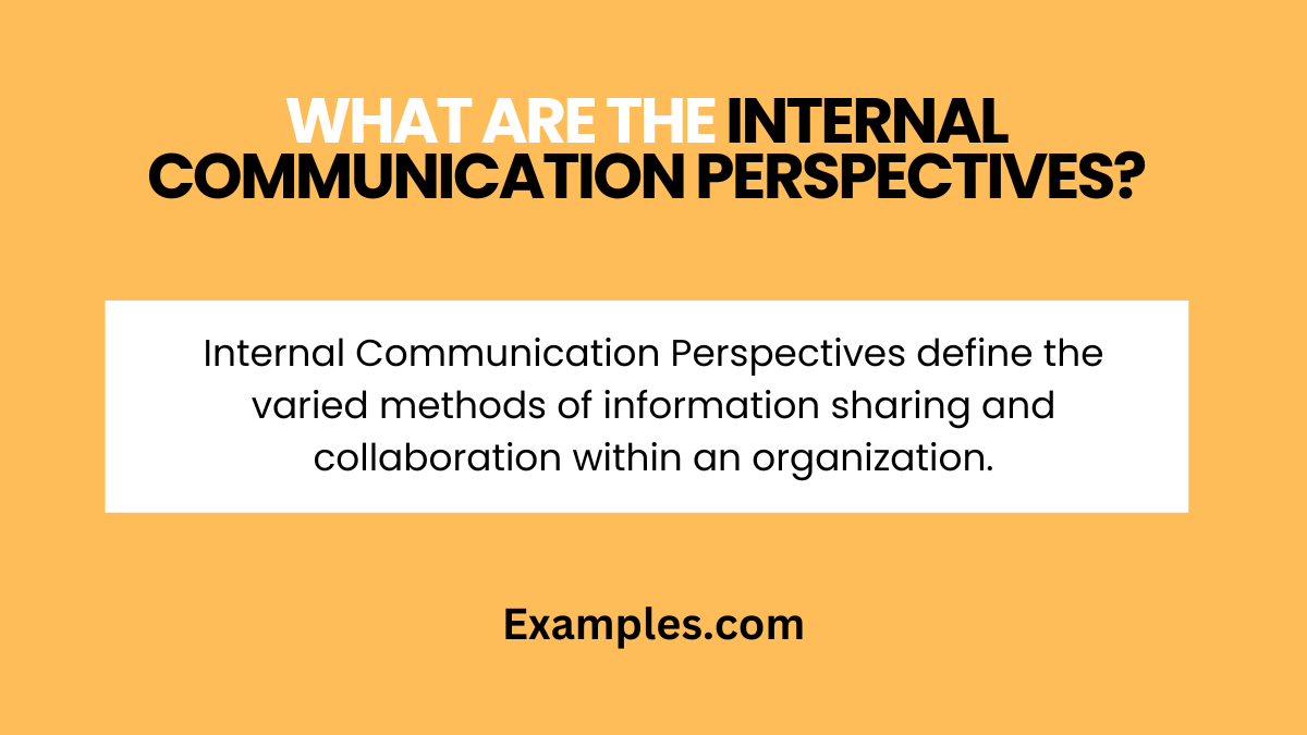what are the internal communication perspectives