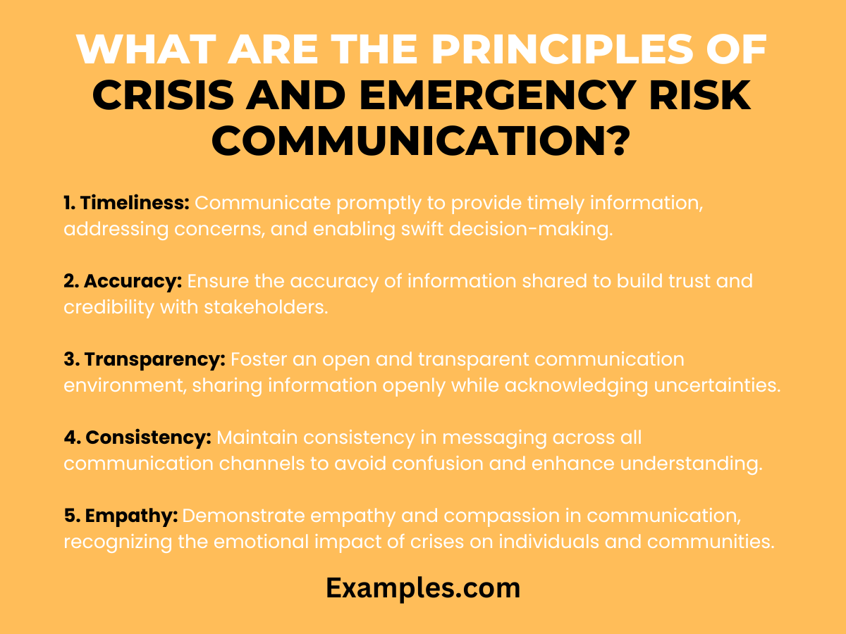 what are the principles of crisis and emergency risk communication