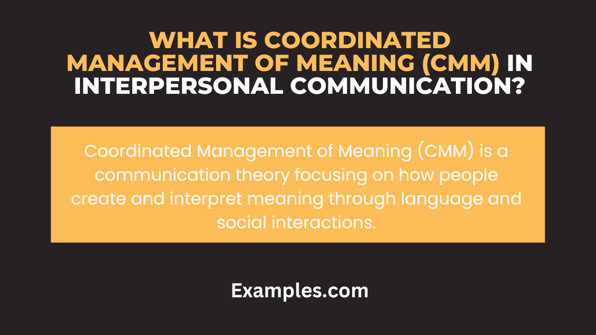 what is coordinated management of meaning cmm
