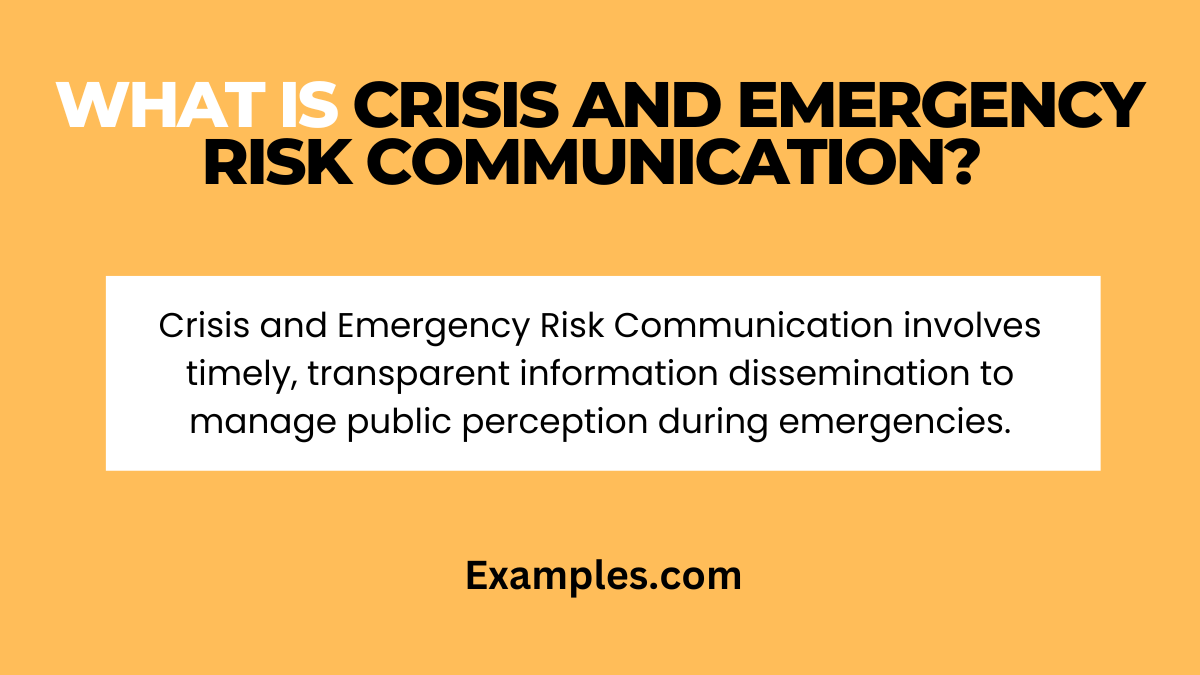 what is crisis and emergency risk communication 