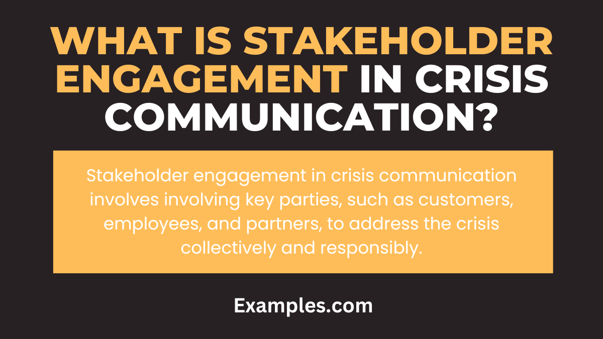 what is stakeholder engagement