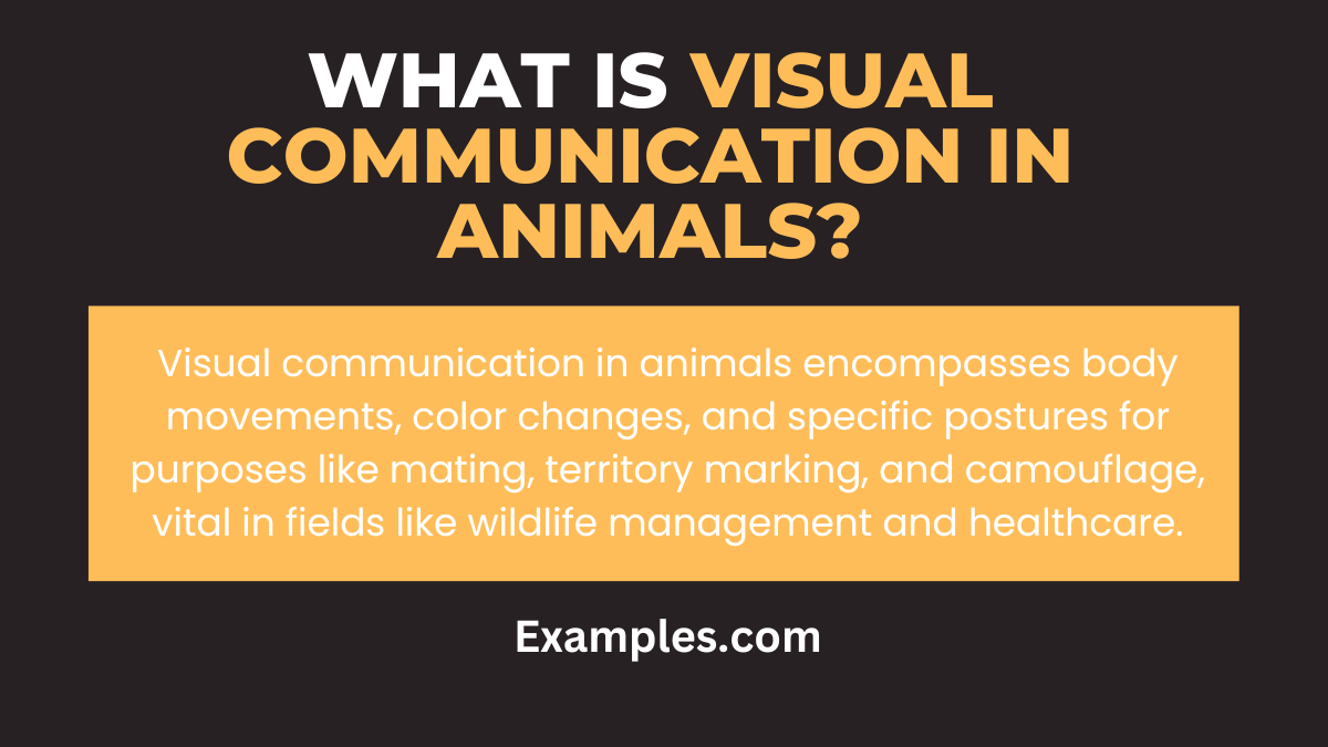 what is visual communication in animals