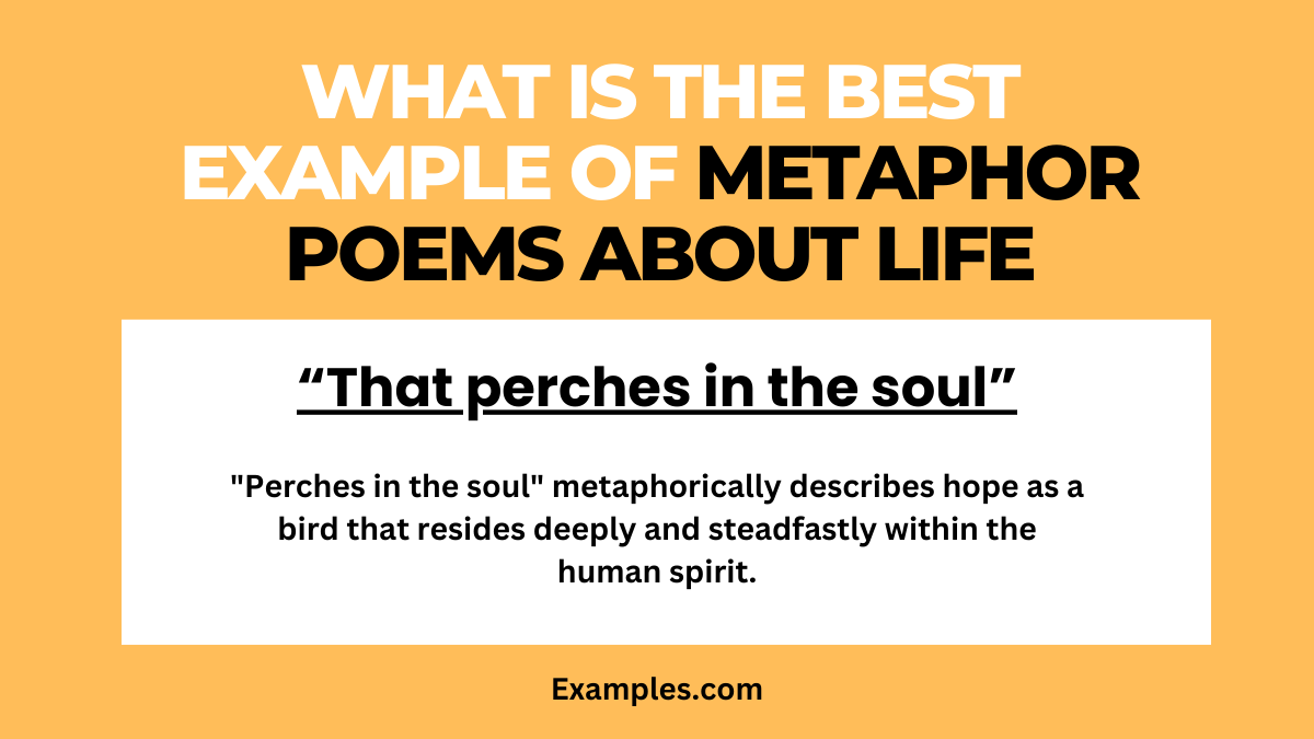 what is the best example metaphor poems about life