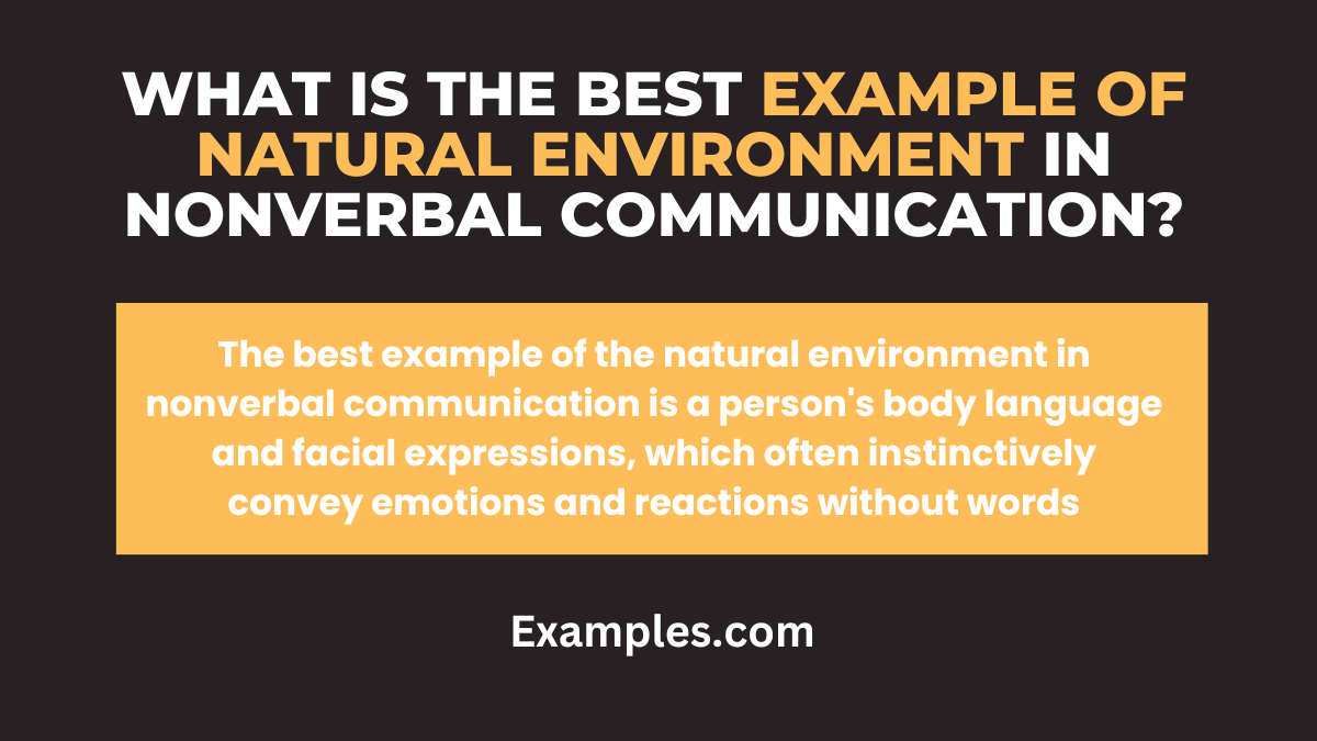 what is the best example of facial expression in nonverbal communication
