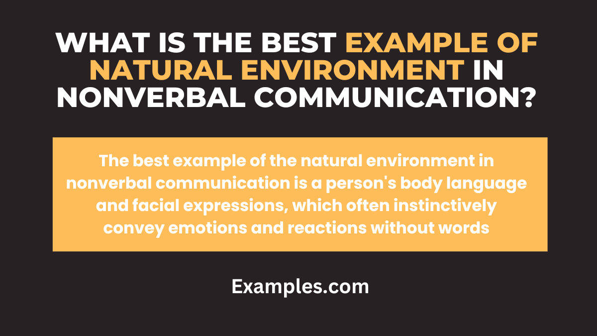 natural-environment-in-nonverbal-communication-examples-pdf