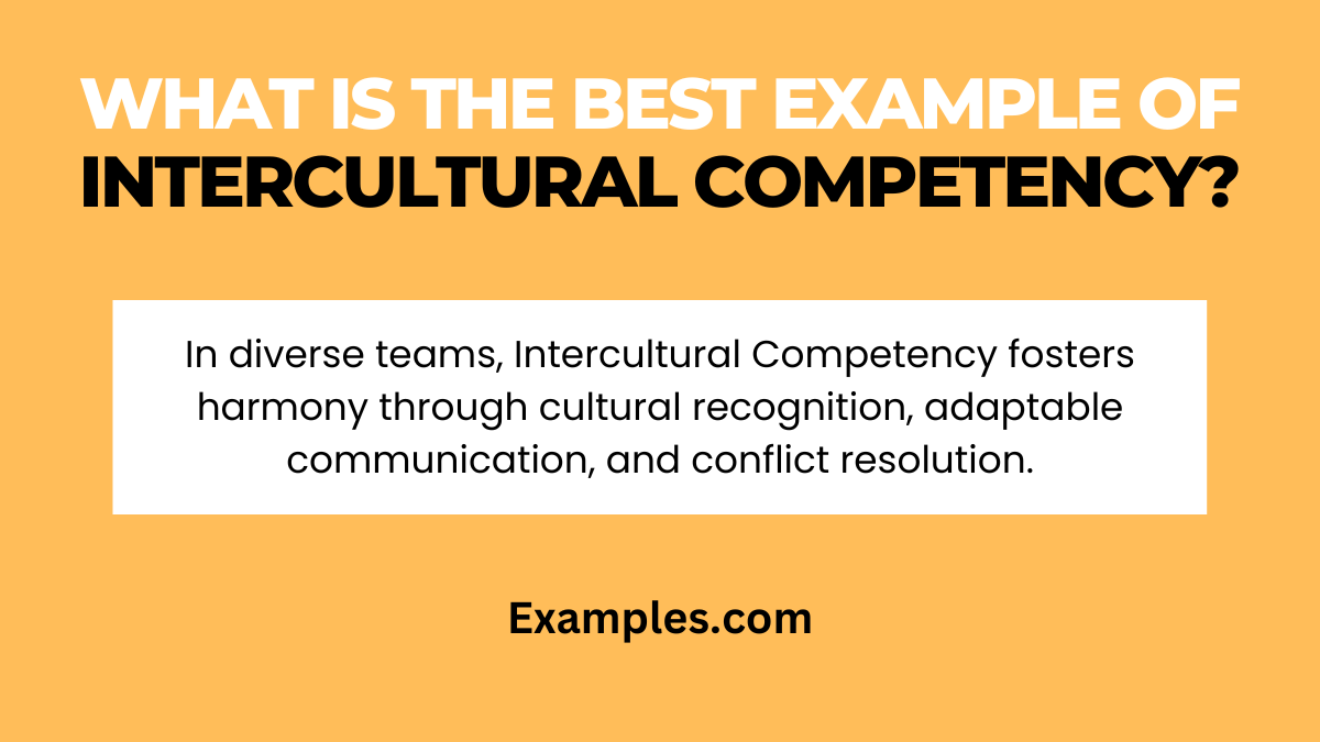 what is the best example of intercultural competency