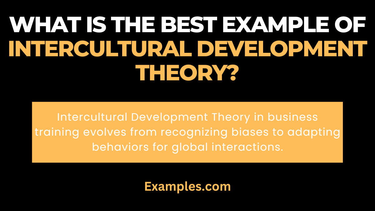 what is the best example of intercultural development theory
