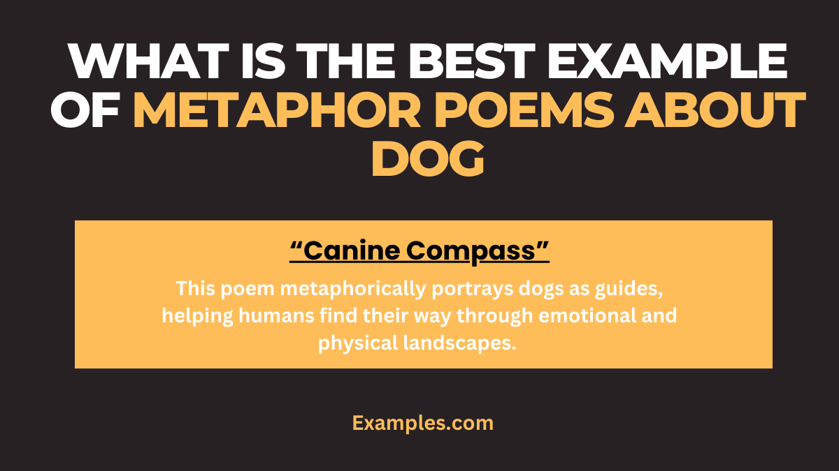 What is the Best Example of Metaphor Poems about Dog