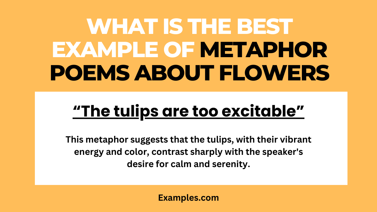 what is the best example of metaphor poems about flowers