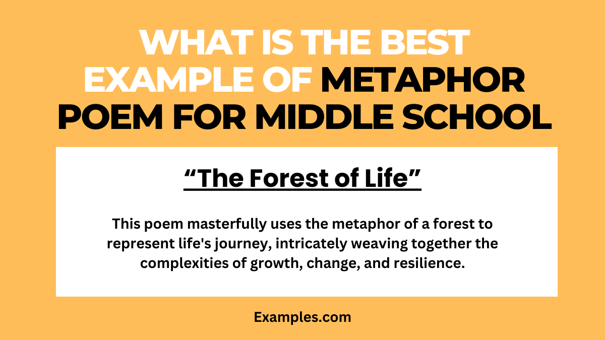 what is the best example of metaphor poems for middle school