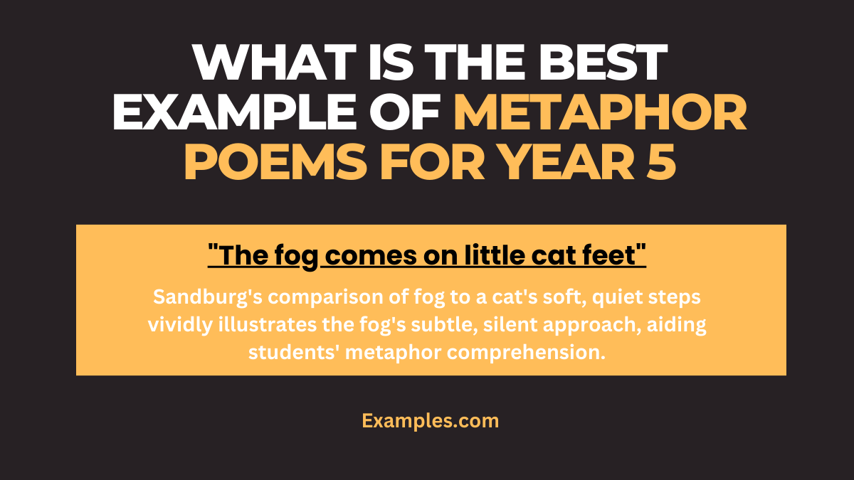 what is the best example of metaphor poems for year 5