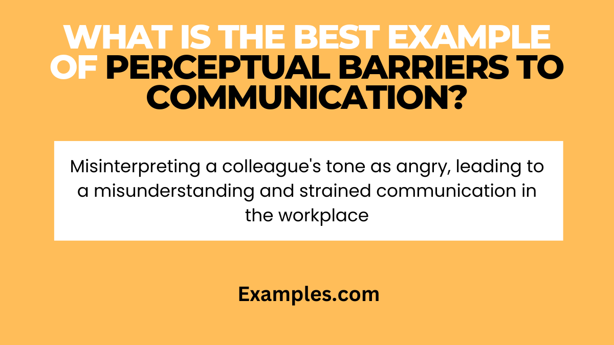 What is the Best Example of Perceptual Barriers to Communication