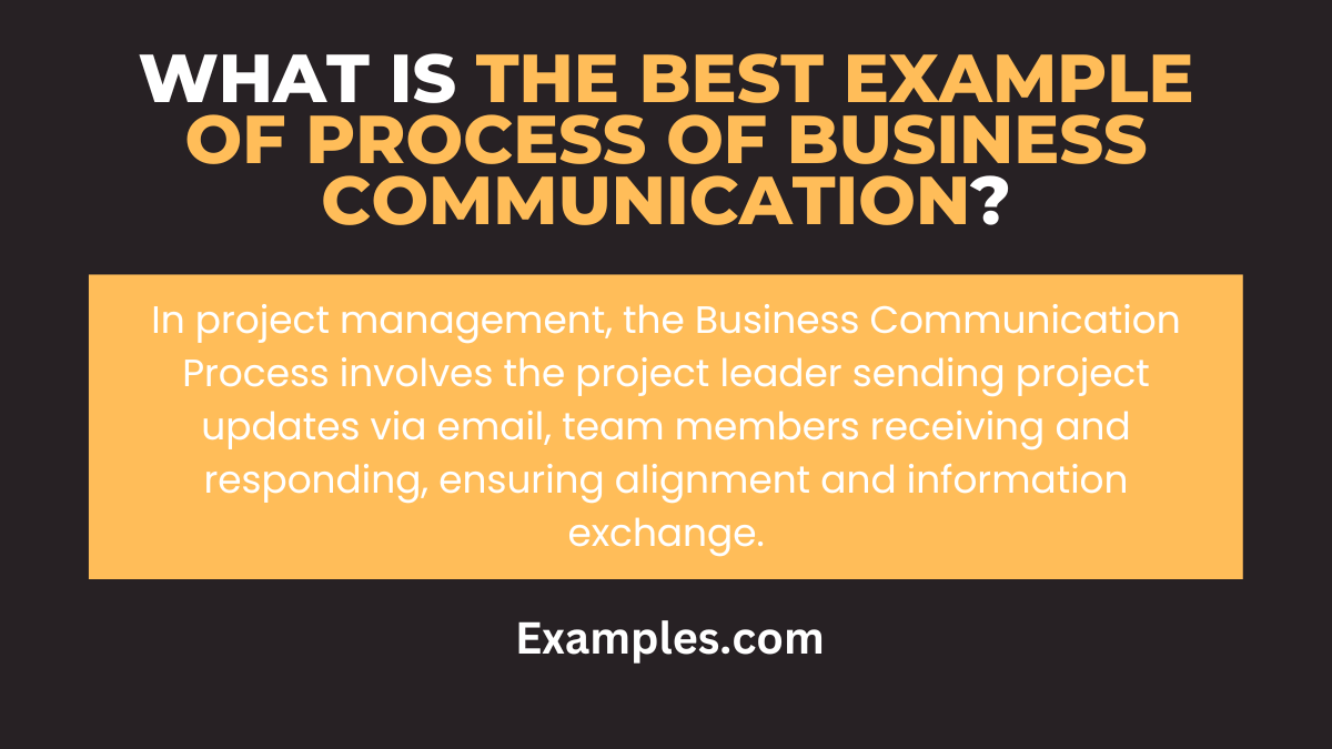 what is the best example of process of business communication