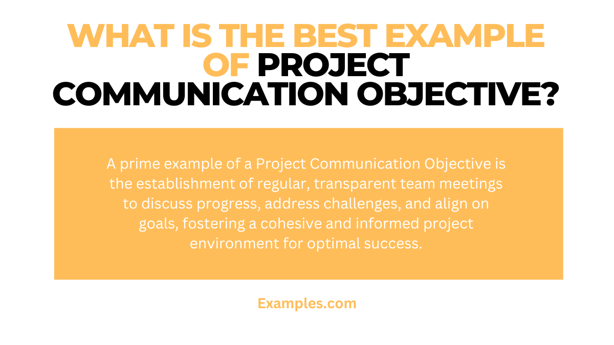 what is the best example of project communication objective