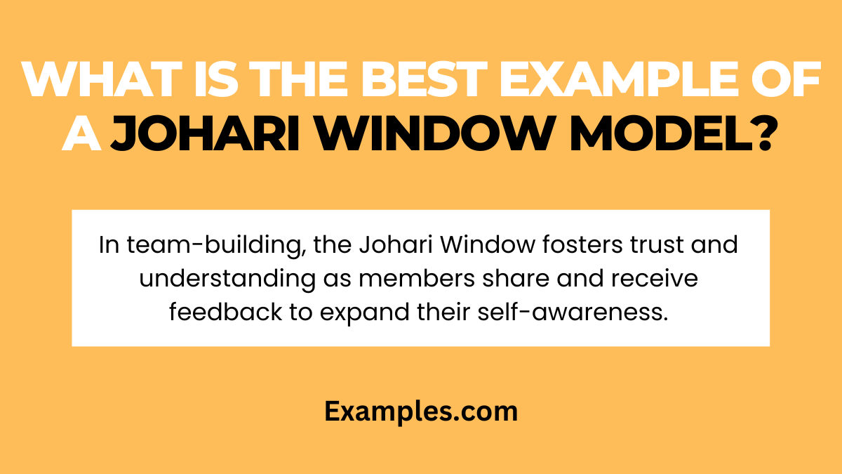 what is the best example of a johari window model