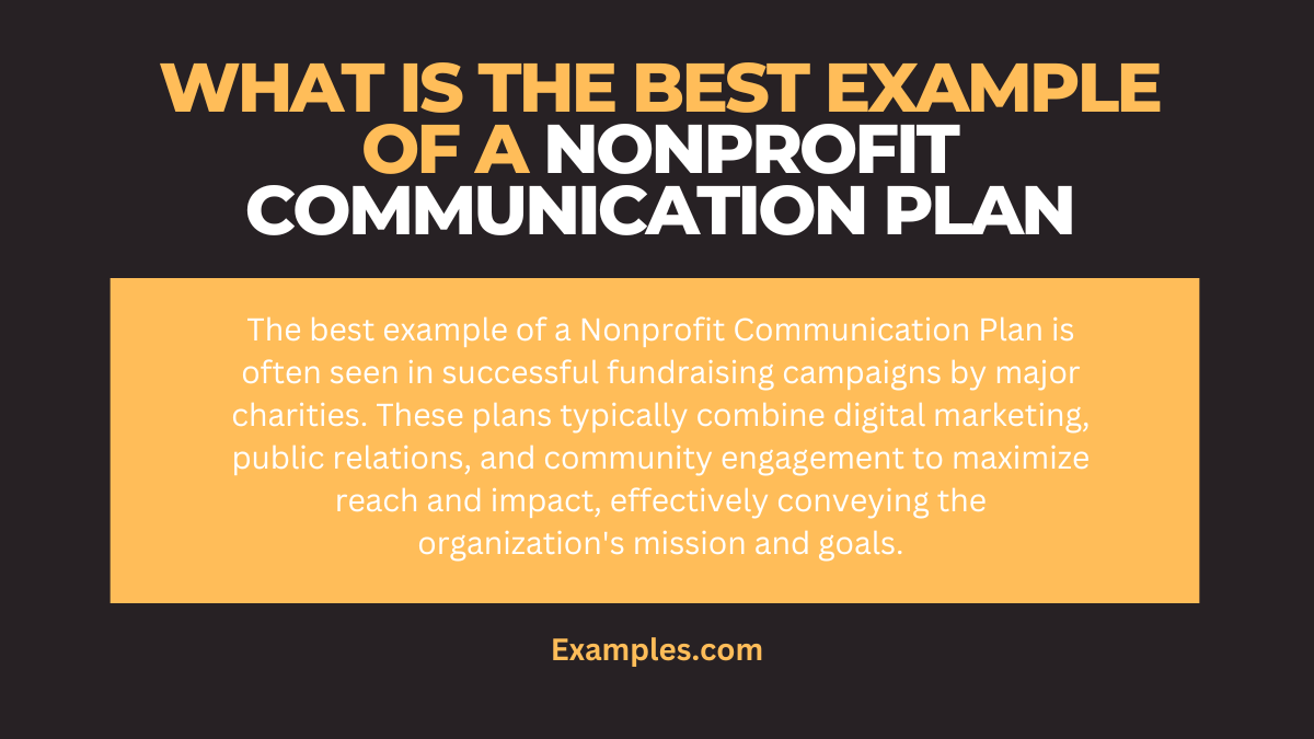 what is the best example of a nonprofit communication plan