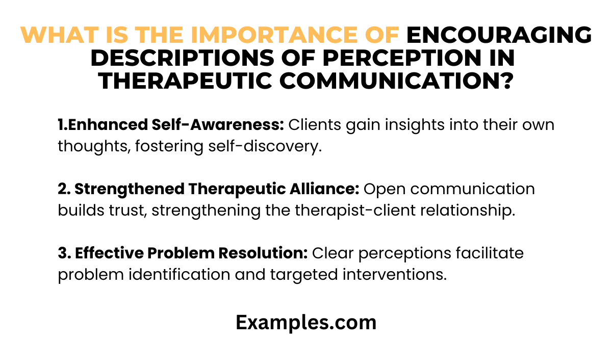 what is the importance of encouraging descriptions of perception therapeutic communication
